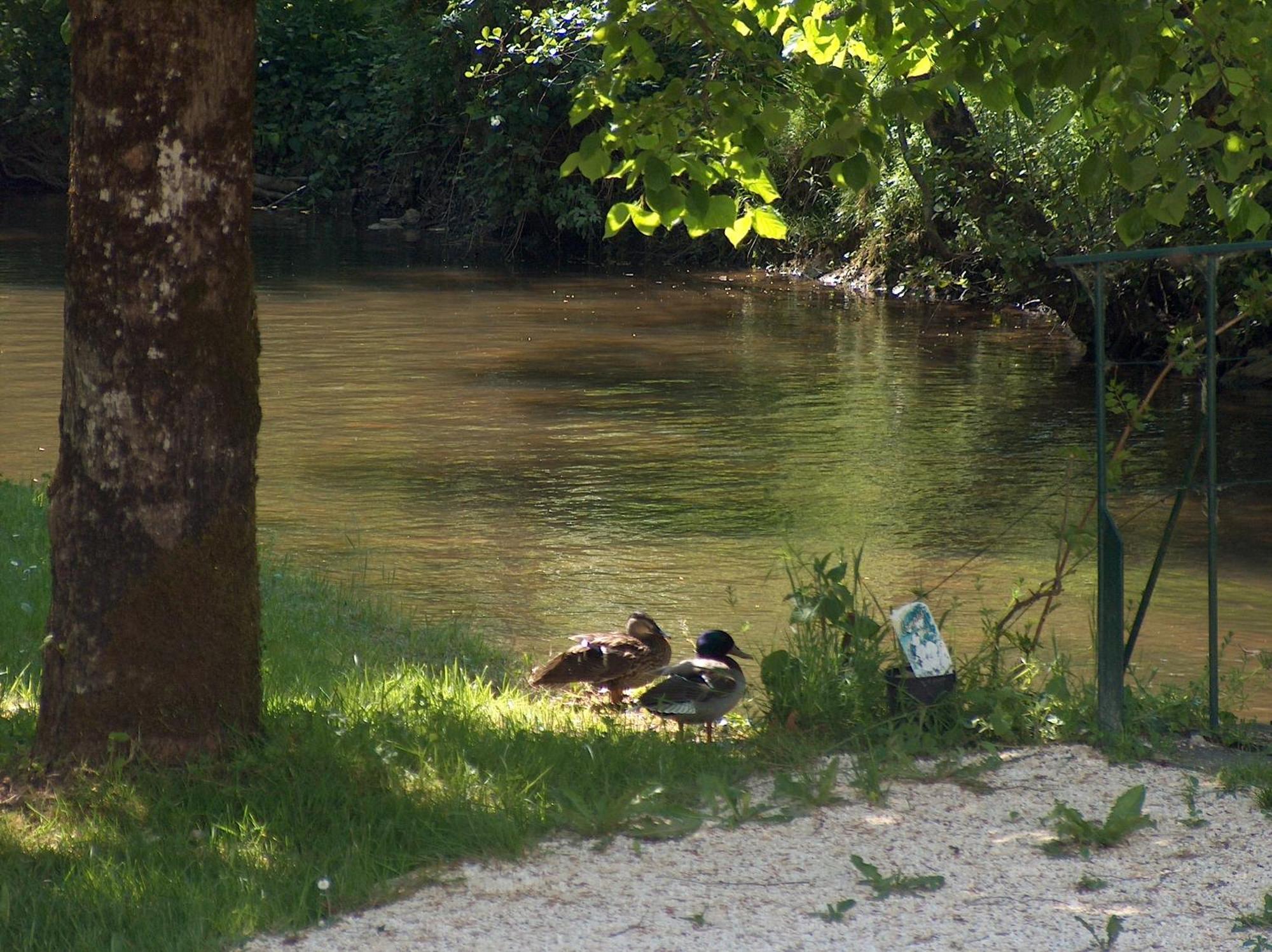 Moulin De Vigonac Ξενοδοχείο Valeuil Εξωτερικό φωτογραφία